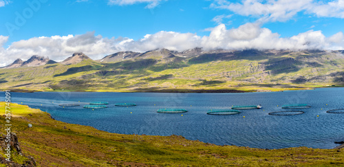Fish farm close to Djupivogur town in Eastern Iceland as a part of Berufjordur fjord landscape. photo