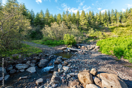 Hiking trial crosses Stadara water stream in Hallormsstadaskogur National forest in Eastern Iceland. photo