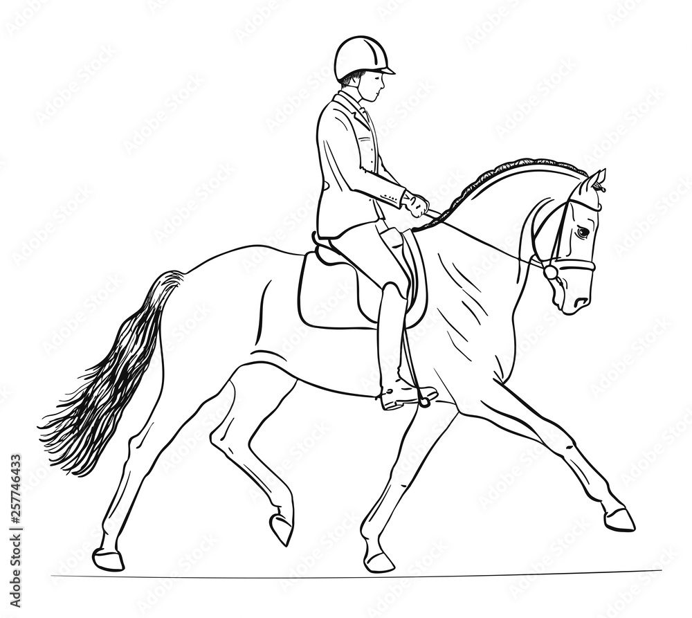 Obraz premium Dressage rider riding a horse at a trot.