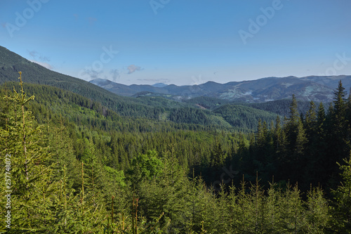 Summer landscape in mountains and the dark blue sky