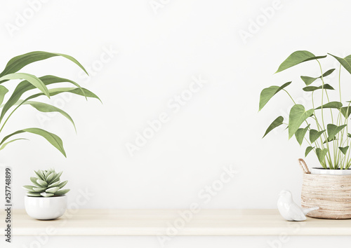 Interior wall mockup with wooden table, succulent and green home plants in basket standing on empty white background. 3D rendering, illustration. © marina_dikh