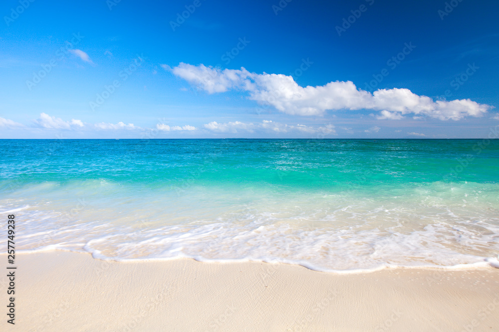 Fototapeta premium beach and beautiful tropical sea