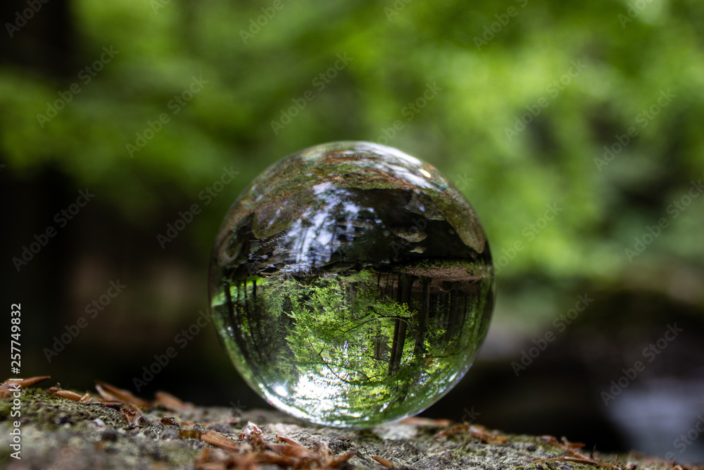 Magic crystal ball - glass ball on forest floor Magic crystal ball - glass ball on forest floor