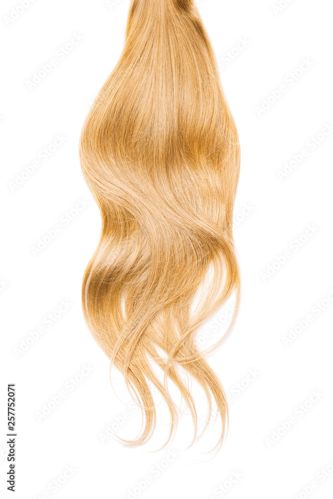 Long blond hair isolated on white background Long blond hair isolated on white background
