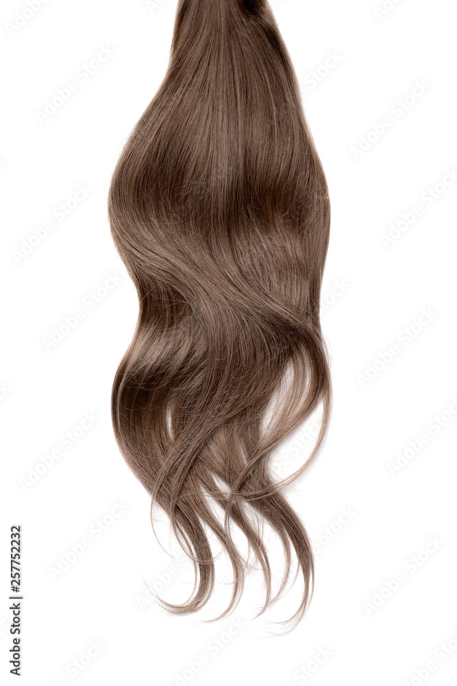 Long brown hair isolated on white background Long brown hair isolated on white background