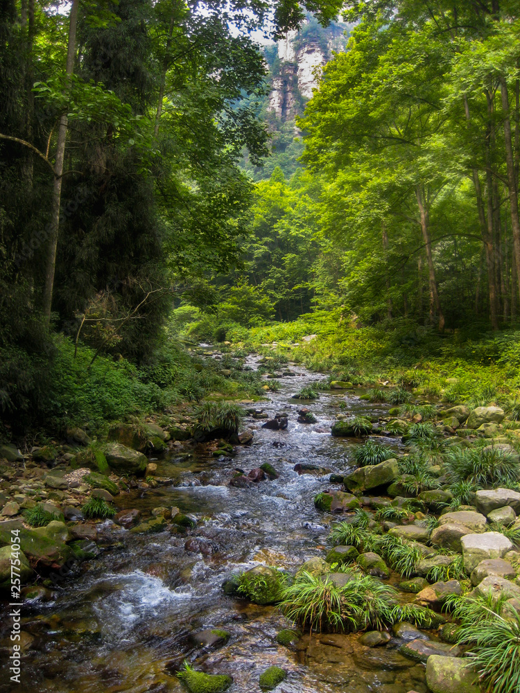Glowing forest with a gentle stream running down the center Glowing forest with a gentle stream running down the center