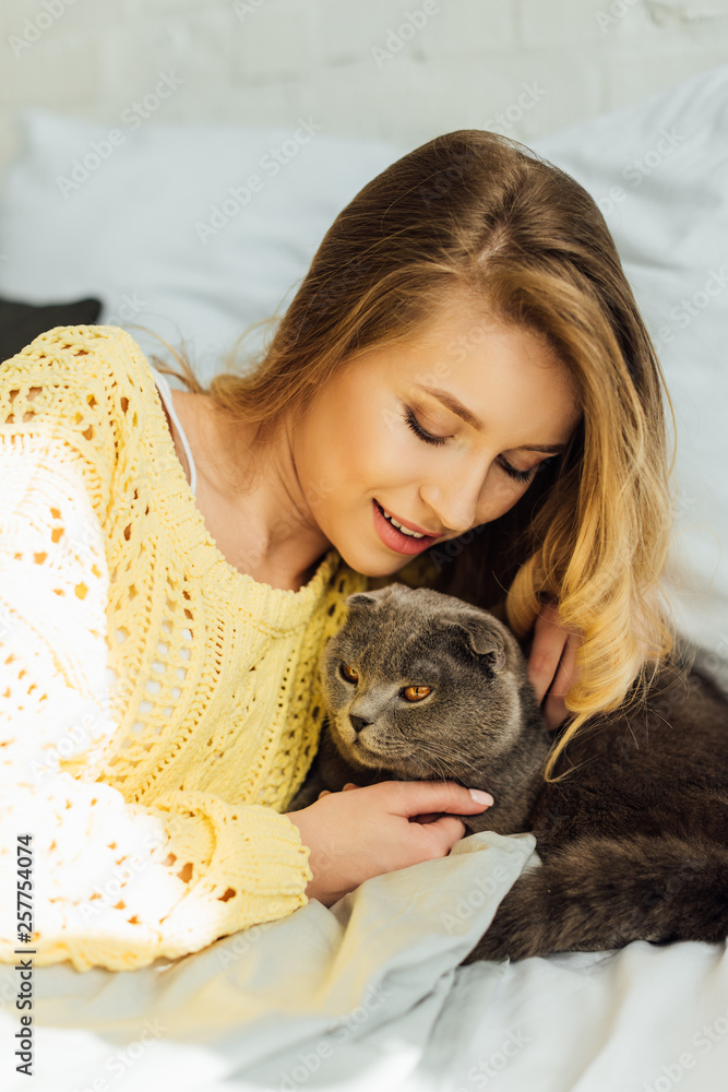 beautiful young woman in knitted sweater lying in bed and hugging scottish fold cat beautiful young woman in knitted sweater lying in bed and hugging scottish fold cat
