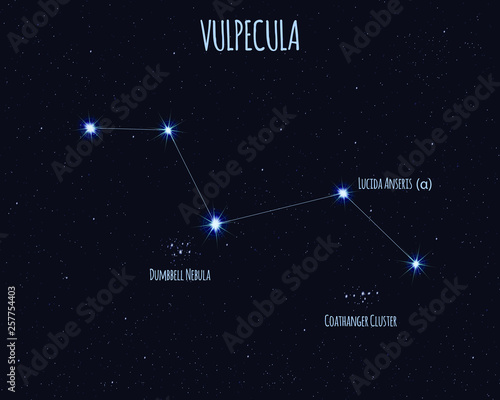 Vulpecula (The Fox) constellation, vector illustration with the names of basic stars against the starry sky  photo