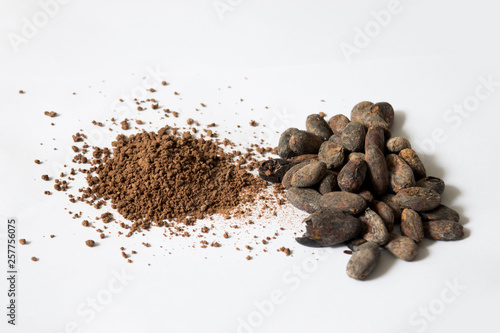 cacao beans on white backgroud