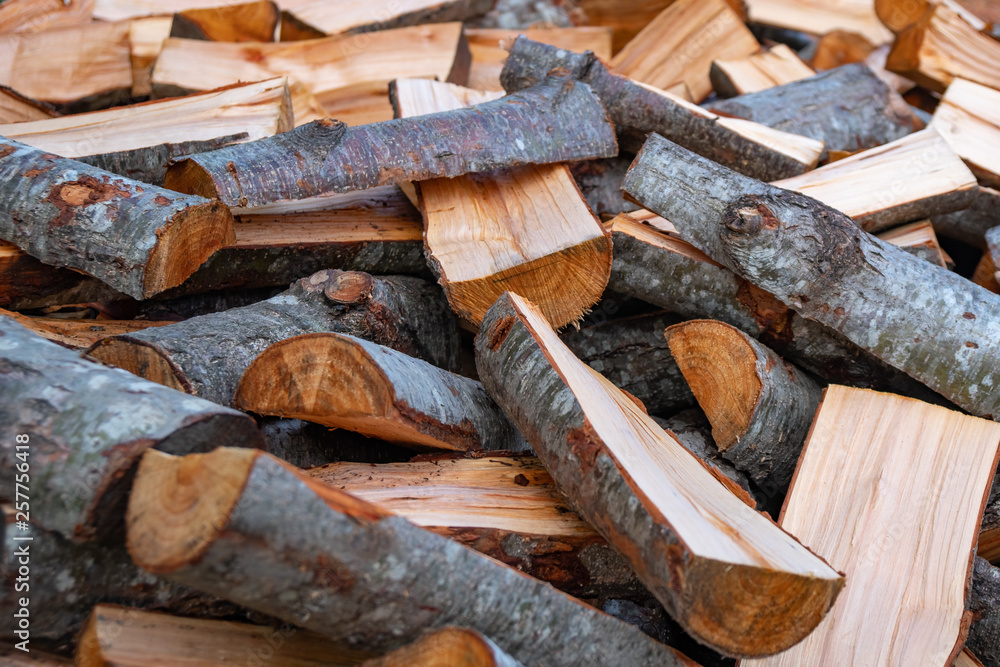 Preparation of firewood for the winter. firewood background, Stacks of firewood in the forest. Preparation of firewood for the winter. firewood background, Stacks of firewood in the forest.