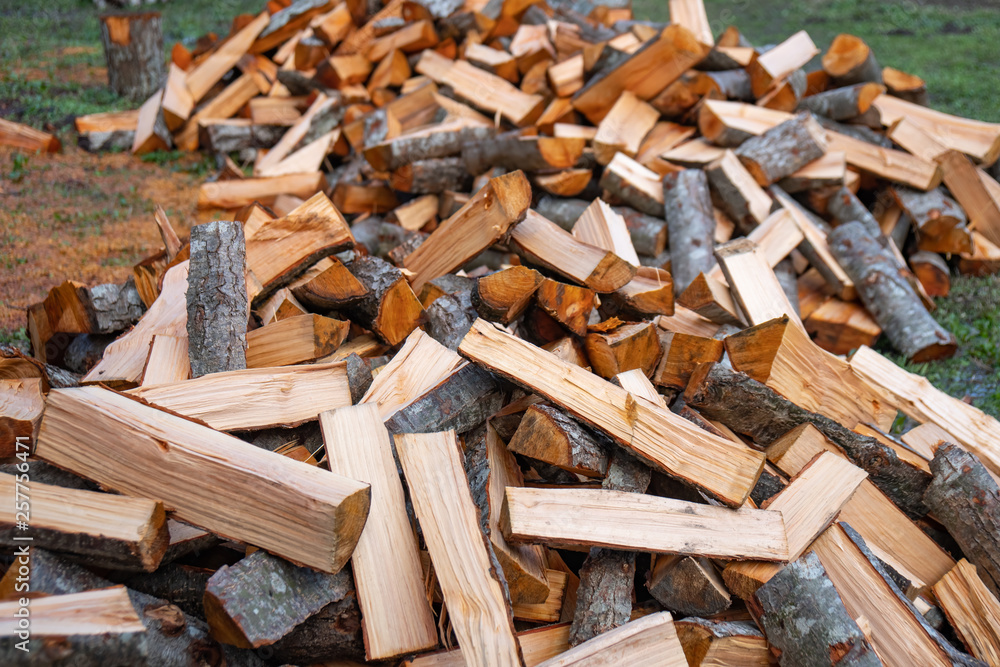 Preparation of firewood for the winter. firewood background, Stacks of firewood in the forest. Preparation of firewood for the winter. firewood background, Stacks of firewood in the forest.