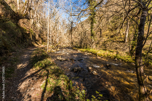 Asturias, Spain. The Muniellos Nature Reserve (Reserva natural integral), protected area of woodland along the valley of the river Muniellos-Tablizas