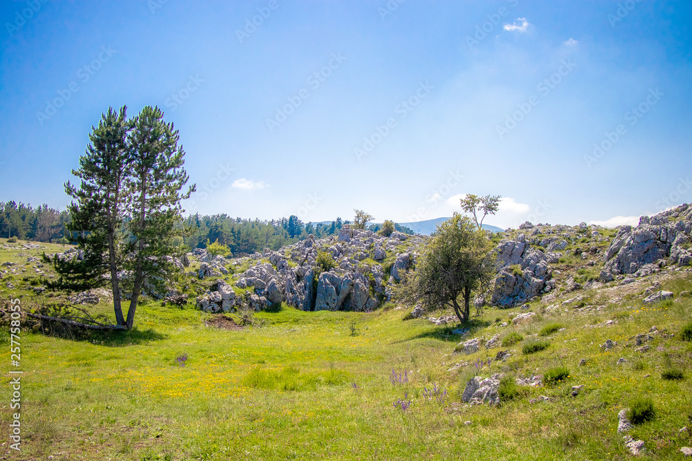 Paysage de caussols Paysage de caussols