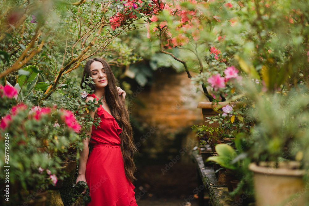 Young beautiful caucasian woman in glass greenhouse among colorful azalea flowers. Art portrait of a long-haired girl wearing a romantic red dress. Young beautiful caucasian woman in glass greenhouse among colorful azalea flowers. Art portrait of a long-haired girl wearing a romantic red dress.