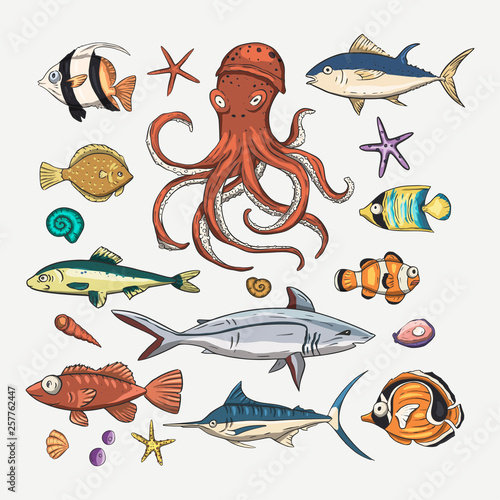 Vector set with underwater animals.