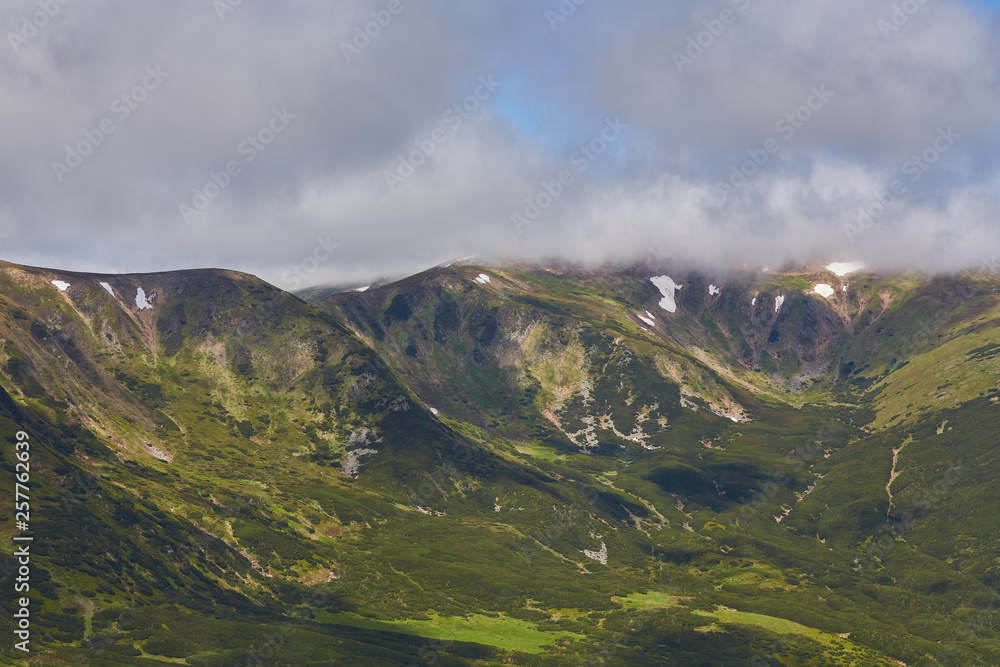 Fototapeta premium Summer landscape in mountains and the dark blue sky