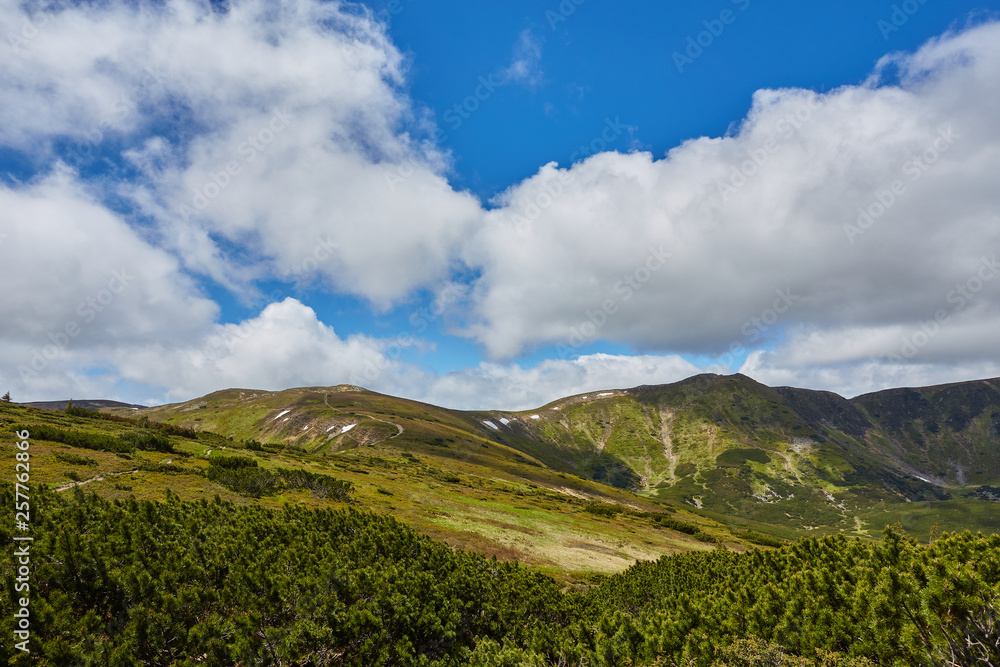 Summer landscape in mountains and the dark blue sky