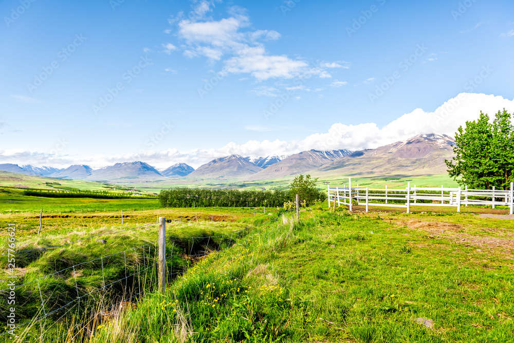View of mountains near Akureyri with blue sky and pasture farm fence with green grass during sunny summer day