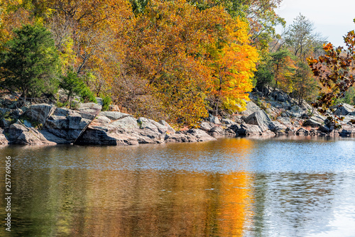 Great Falls yellow autumn tree reflection view in canal lake river surface during autumn in Maryland colorful orange leaves foliage