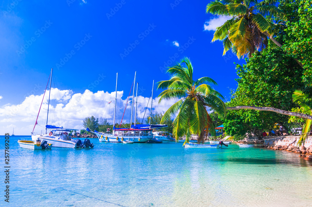 Seychelles island tropical vacation - small marina in Praslin .