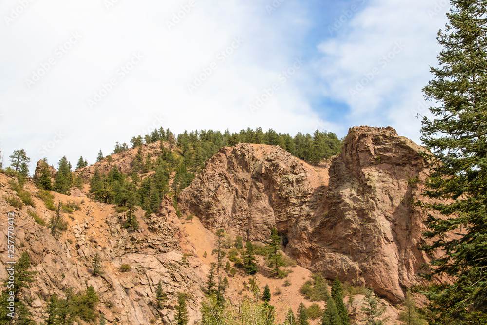 View of towering cliffs and slides with a few evergreen trees and a large evergreen tree framing the image on one side in Rocky Mountains - room for copy
