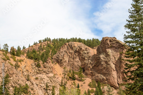 View of towering cliffs and slides with a few evergreen trees and a large evergreen tree framing the image on one side in Rocky Mountains - room for copy