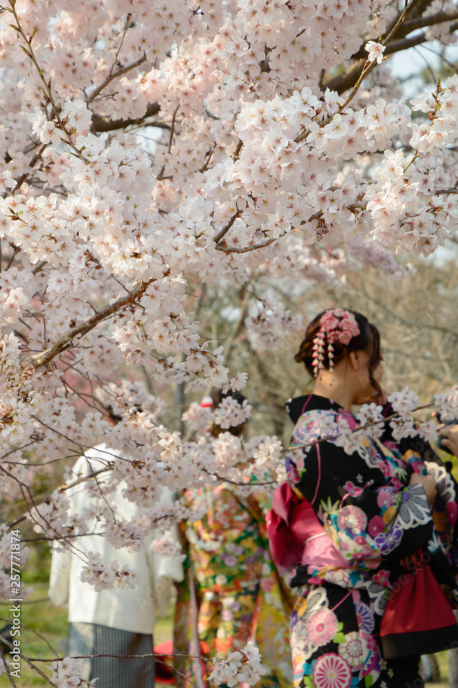 桜の下で結婚式 桜の下で結婚式