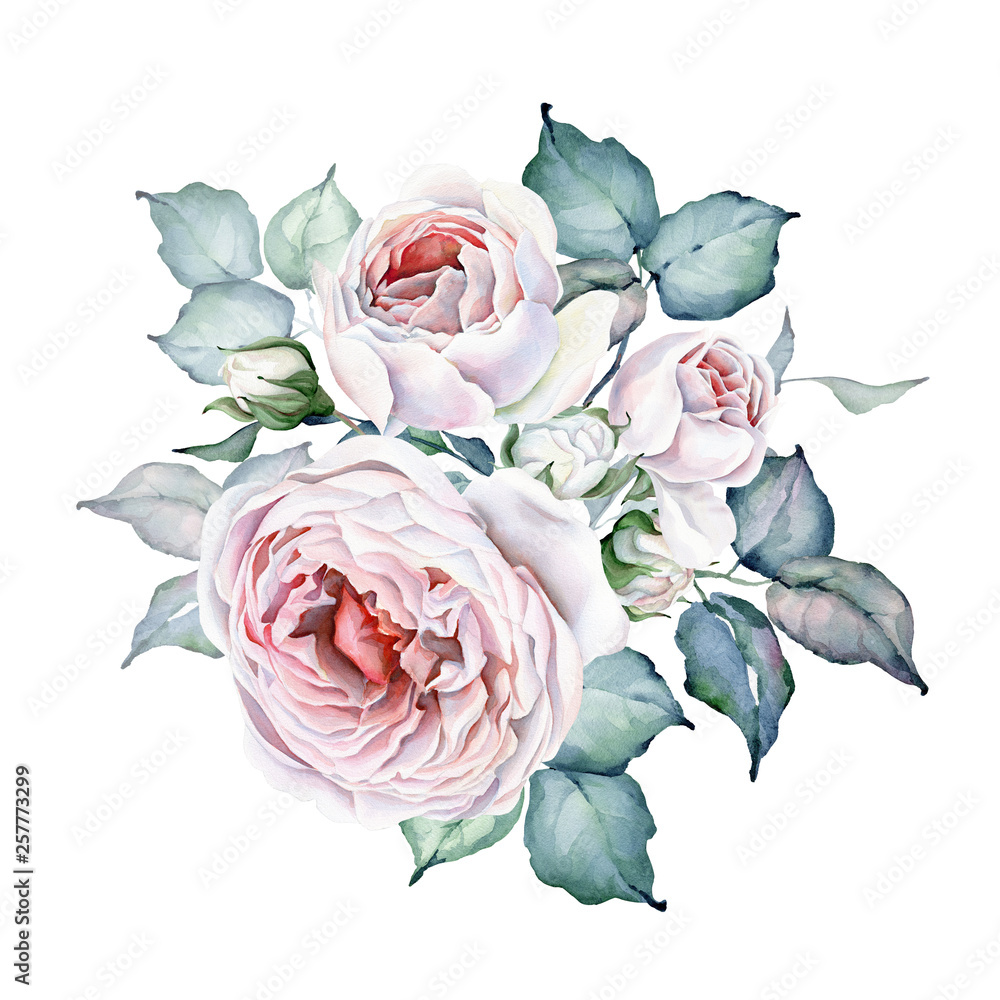 Watercolor Flowers. Roses Bouquet. White and Pink Roses. Floral ...