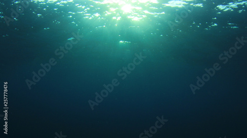 Underwater background  © Richard Carey
