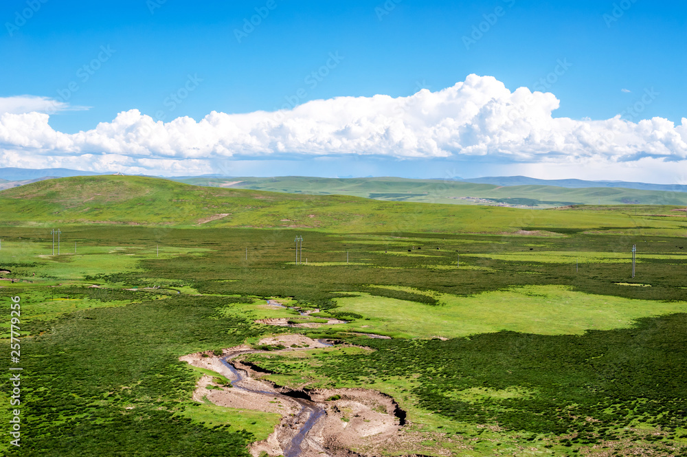 Naklejka premium aqu Qiangtang Plateau Ranch Scenery, Tibet, China