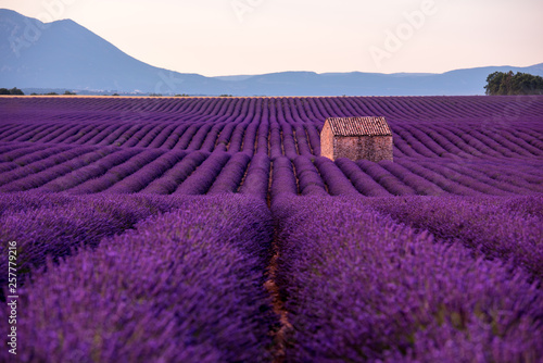stone house at lavender field