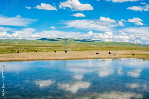Sanjiangyuan Nature Reserve, the highest elevation natural wetland, Tibet, China