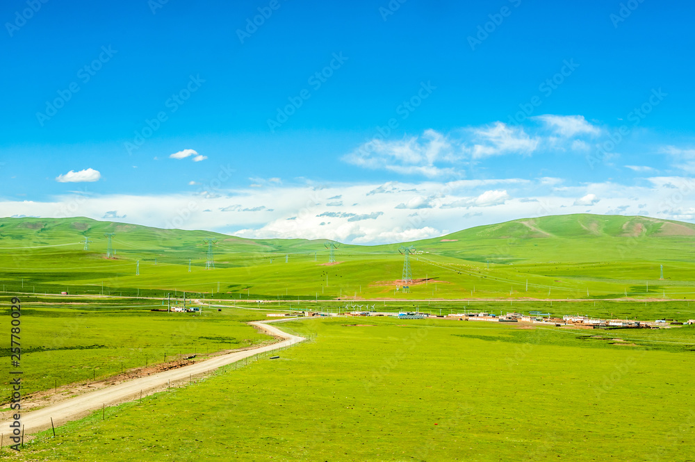 Obraz premium aqu Qiangtang Plateau Ranch Scenery, Tibet, China