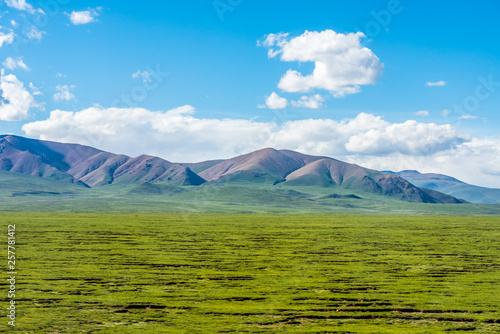 Naqu Qiangtang Plateau Ranch Scenery, Tibet, China photo