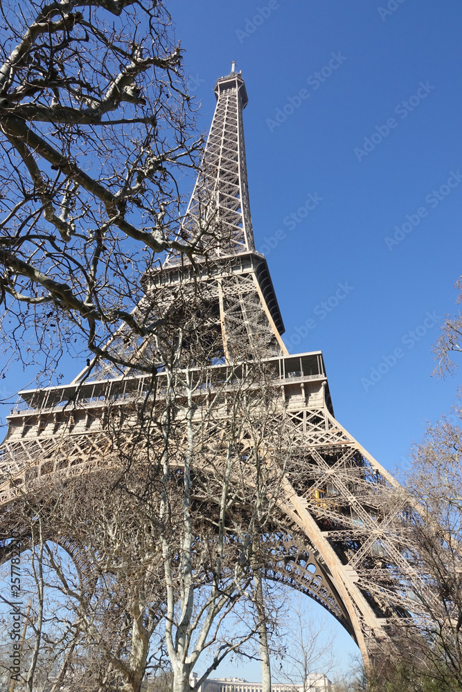 The Eiffel Tower from a non traditional angle with some tree branches in front and a  bright ble sky