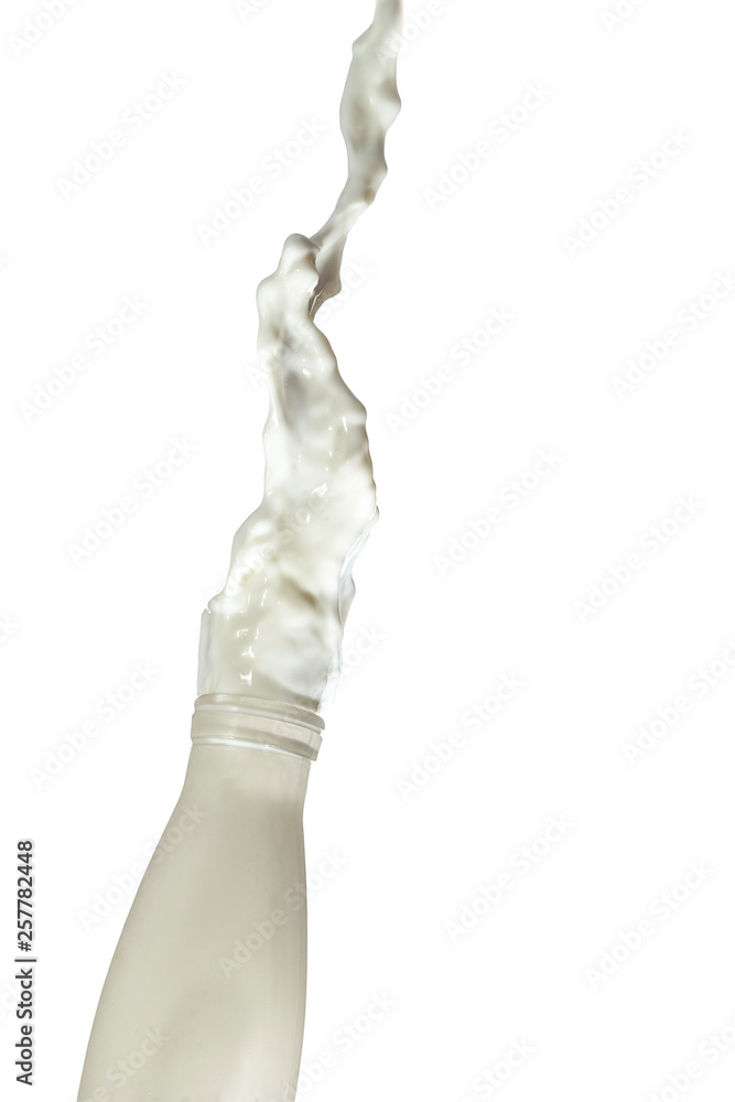 Liquids Photography. Milk Splash Out Of The Bottle. Isolated Over White Background.