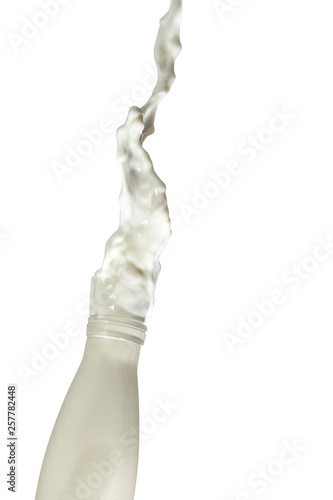Liquids Photography. Milk Splash Out Of The Bottle. Isolated Over White Background.