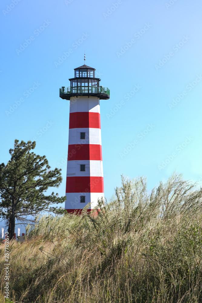 View of a light house with tall grass in front
