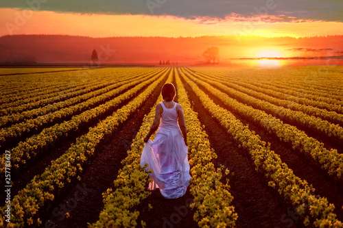 Woman on daffodil fields enjoying sunset. Annual  Skagit Valley tulip festival near Seattle. Mount Vernon. WA. USA photo