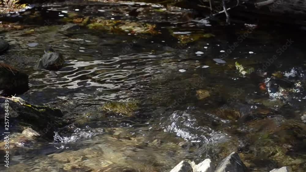 Stream between stones Stream between stones