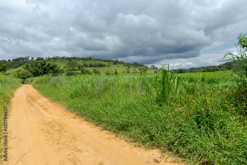 Obraz premium Estrada rural brasileira
