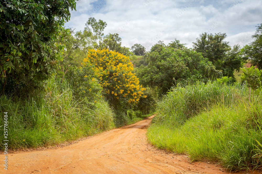 Fototapeta premium Estrada rural brasileira