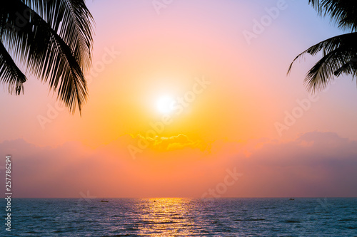 Beautiful Silhouette coconut palm tree on sky neary sea ocean beach at sunset or sunrise time © siraphol