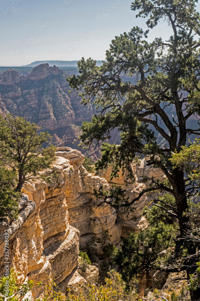 A scenic view of the cliffs and valleys of The Grand Canyon.