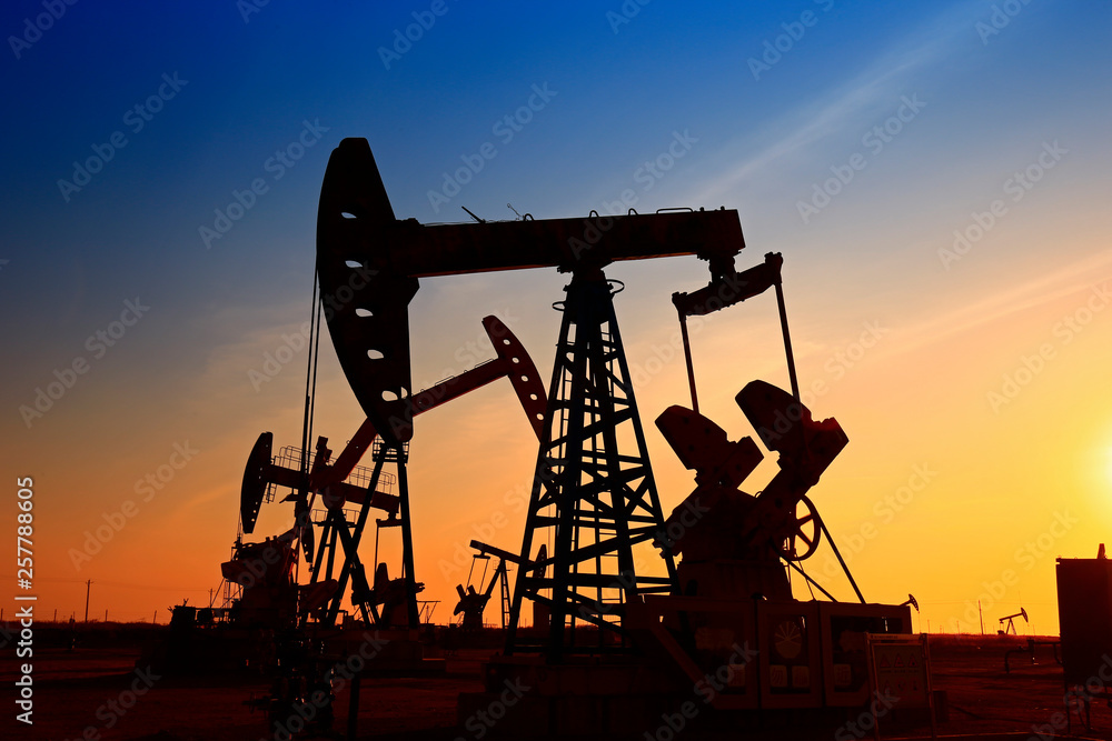 The oil pump, industrial equipment The oil pump, industrial equipment