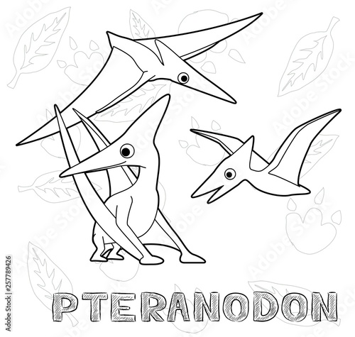 Dinosaur Pteranodon Cartoon Vector Illustration Monochrome