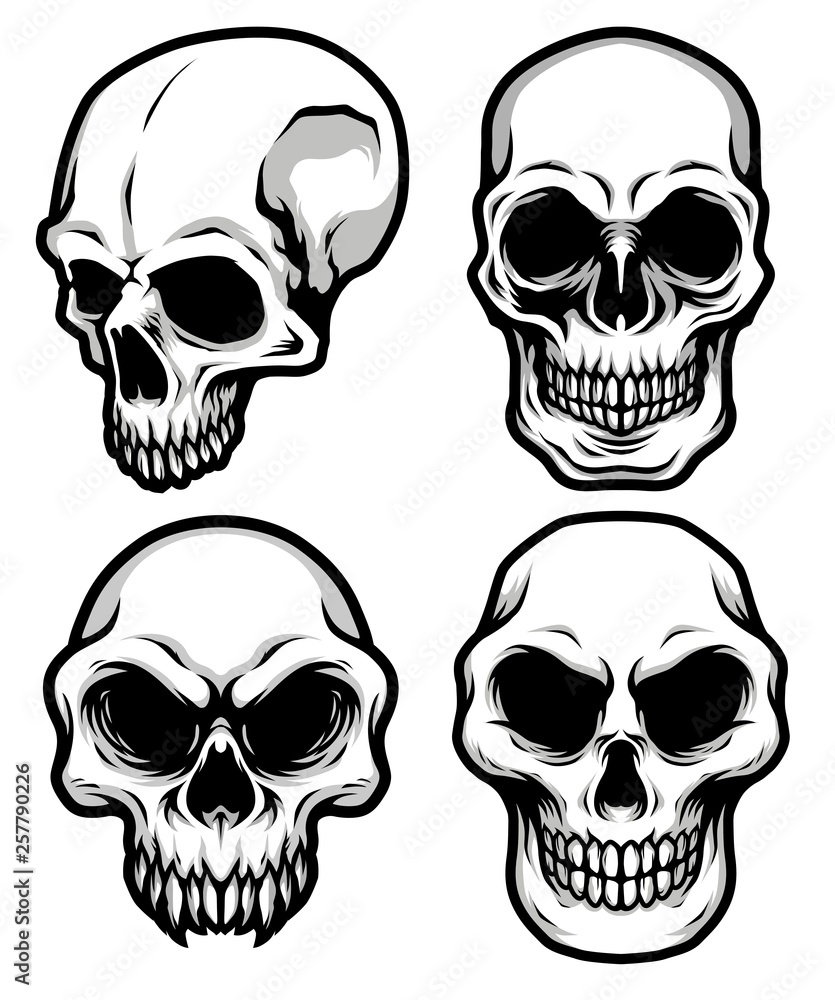 Collection of Detailed Classic Skull Head Black and White Illustration Collection of Detailed Classic Skull Head Black and White Illustration