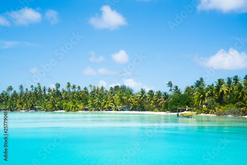 Fototapeta Naklejka Na Ścianę i Meble -  Bora Bora, Tahiti (French Polynesia)