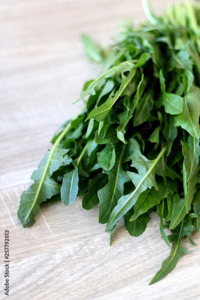 Homegrown chicory on a wooden table. Selective focus. Homegrown chicory on a wooden table. Selective focus.