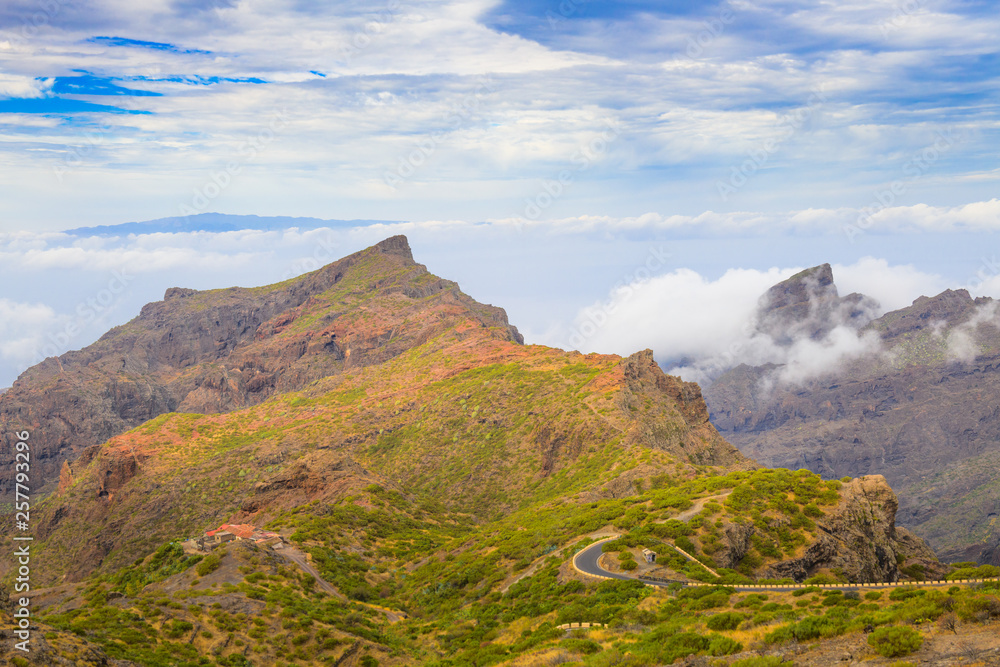 Fototapeta premium Great view of the Maska gorge.Tenerife. Canary Islands..Spain